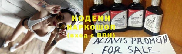 ECSTASY Белокуриха