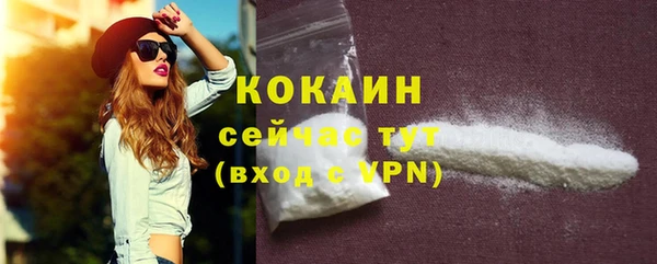 МДПВ Богородицк