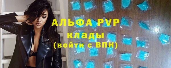 ECSTASY Белокуриха