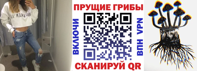 Псилоцибиновые грибы прущие грибы  гидра сайт  Волжский 